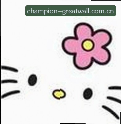 刘洋